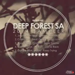 Deepforestsa 2014 Sampler BY Cubique Dj Cb